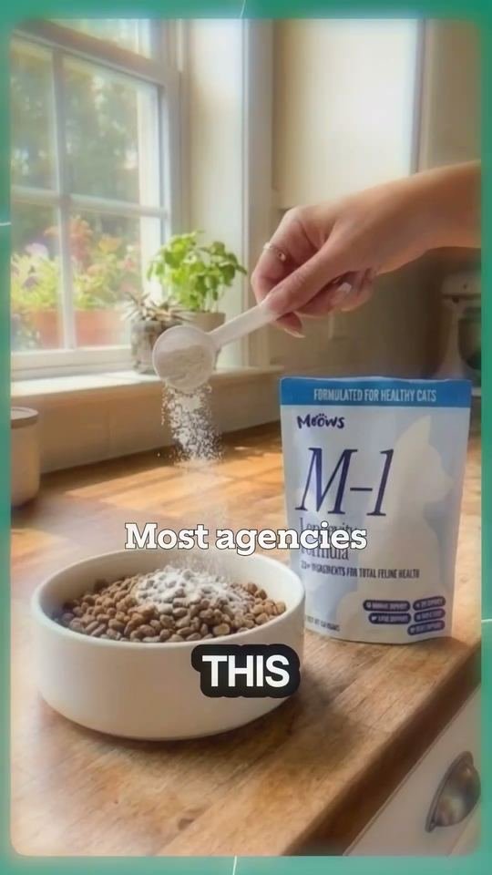 Frame from the Clevient showreel: a hand scooping supplement powder in a kitchen